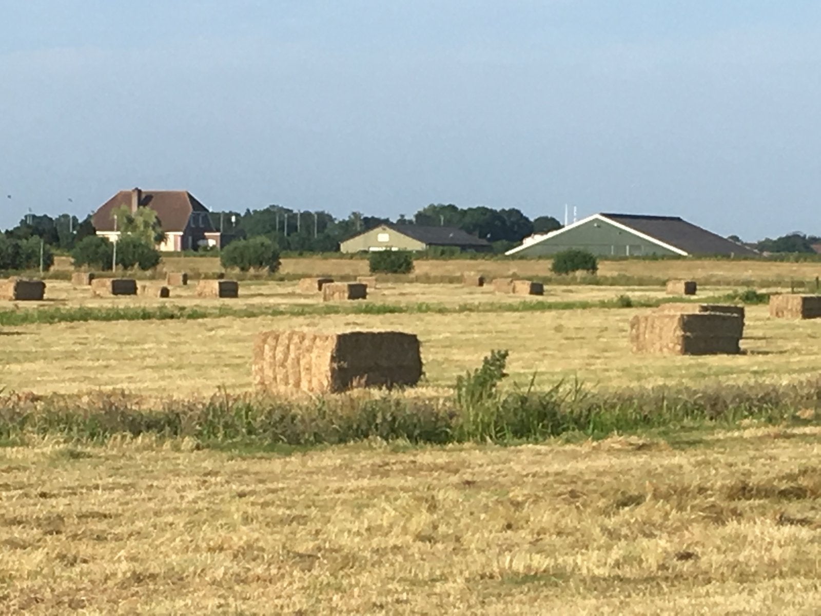 Hooibalen / Strobalen, Ophalen, Vee