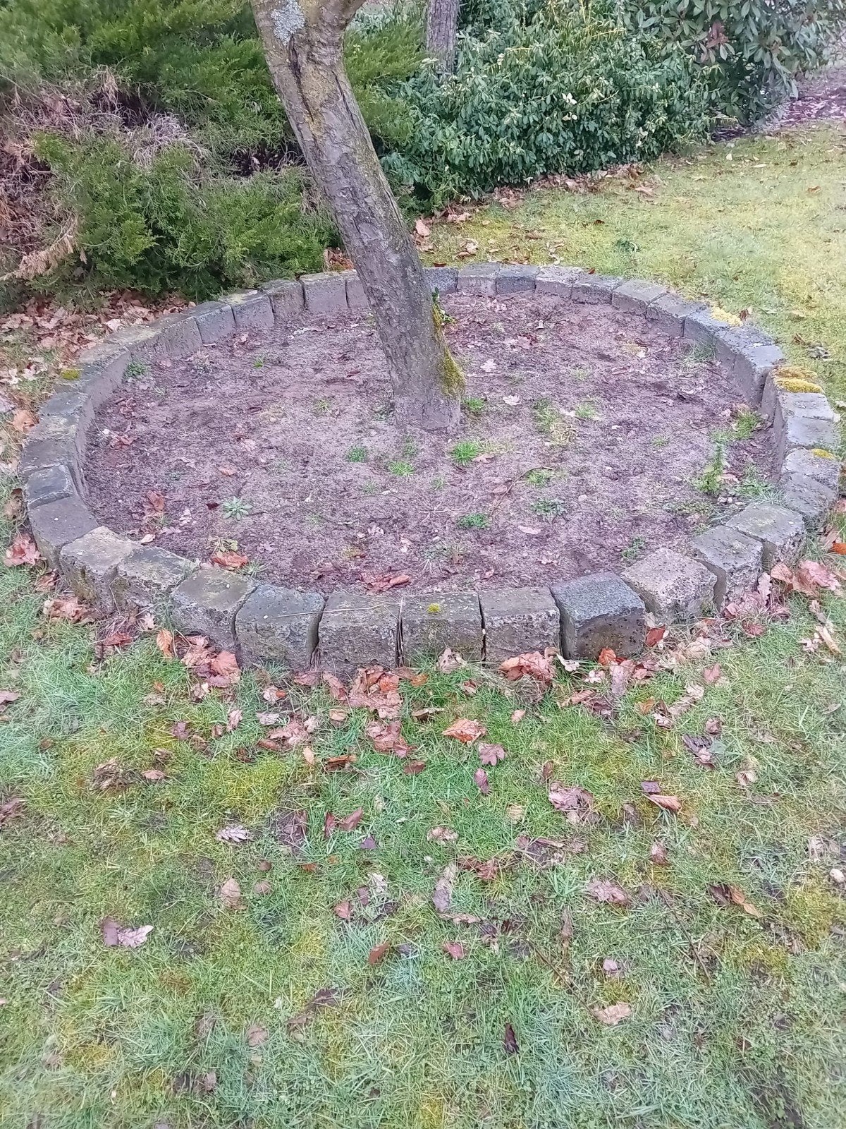 Gratis keien kasseien (kinderkoppen?), Ophalen of Verzenden