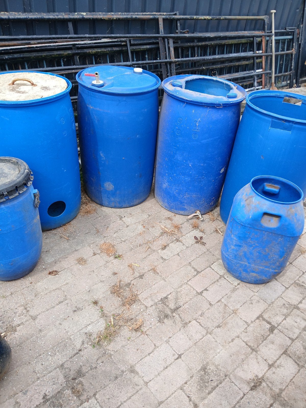 Slowfeeder regenton voerton blauwe vaten, Ophalen, Kunststof, Gebruikt, Met kraantje