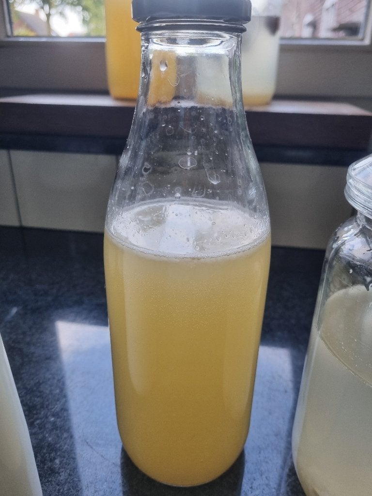 Gratis melk en waterkefir, Ophalen
