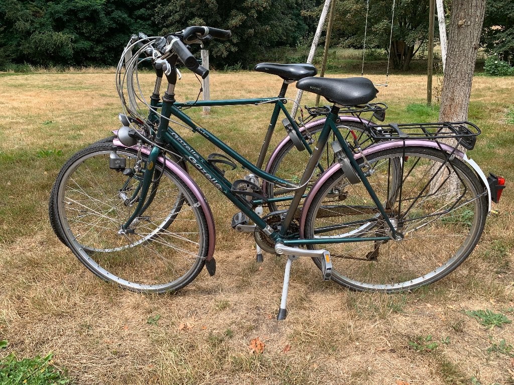 Gazelle Bahia Hybride Lite (dames- en herenfiets), Fietsen en Brommers, Fietsen | Dames | Damesfietsen, Ophalen, Versnellingen