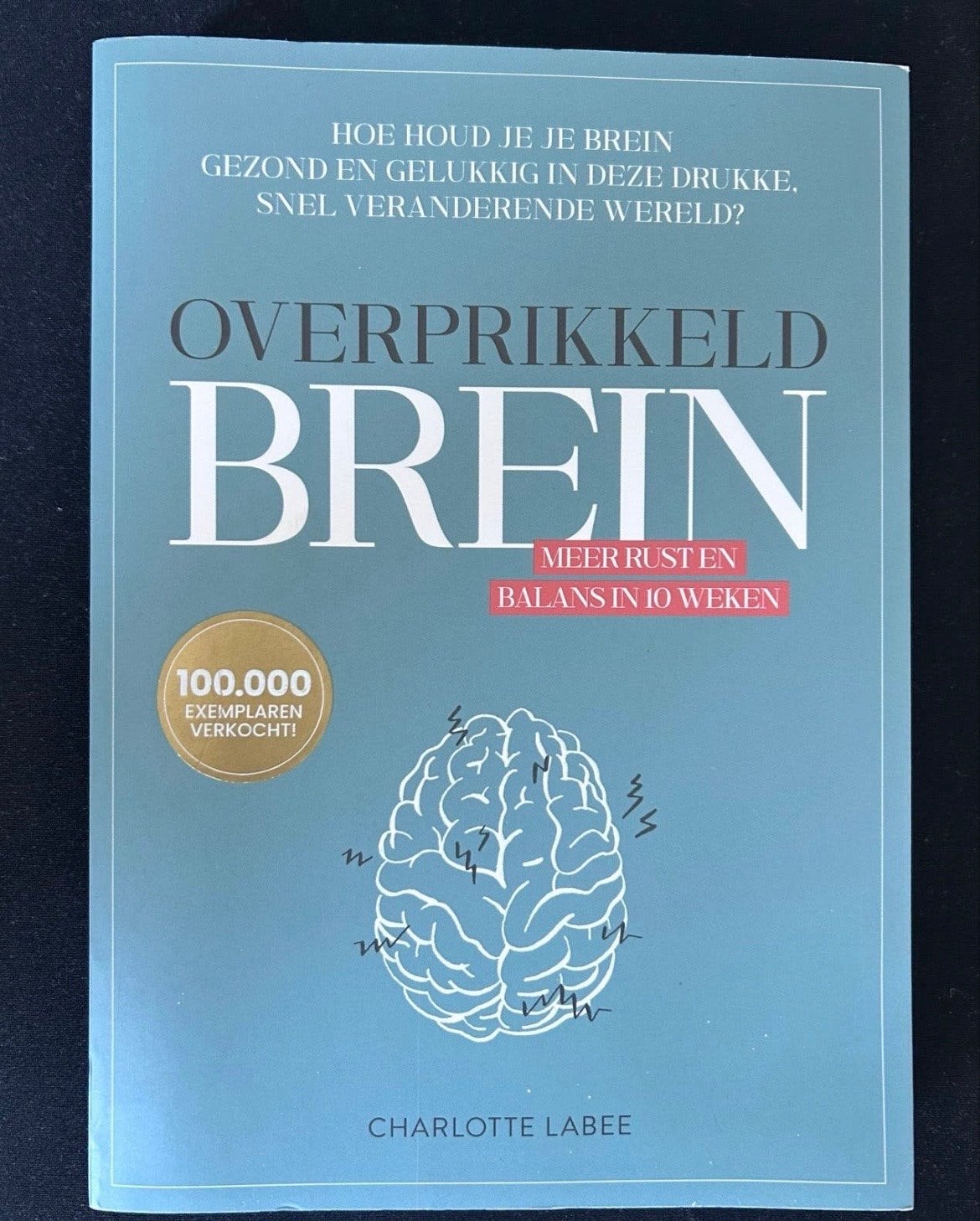 Charlotte Labee - Overprikkeld brein, Ophalen of Verzenden, Zo goed als nieuw, Charlotte Labee