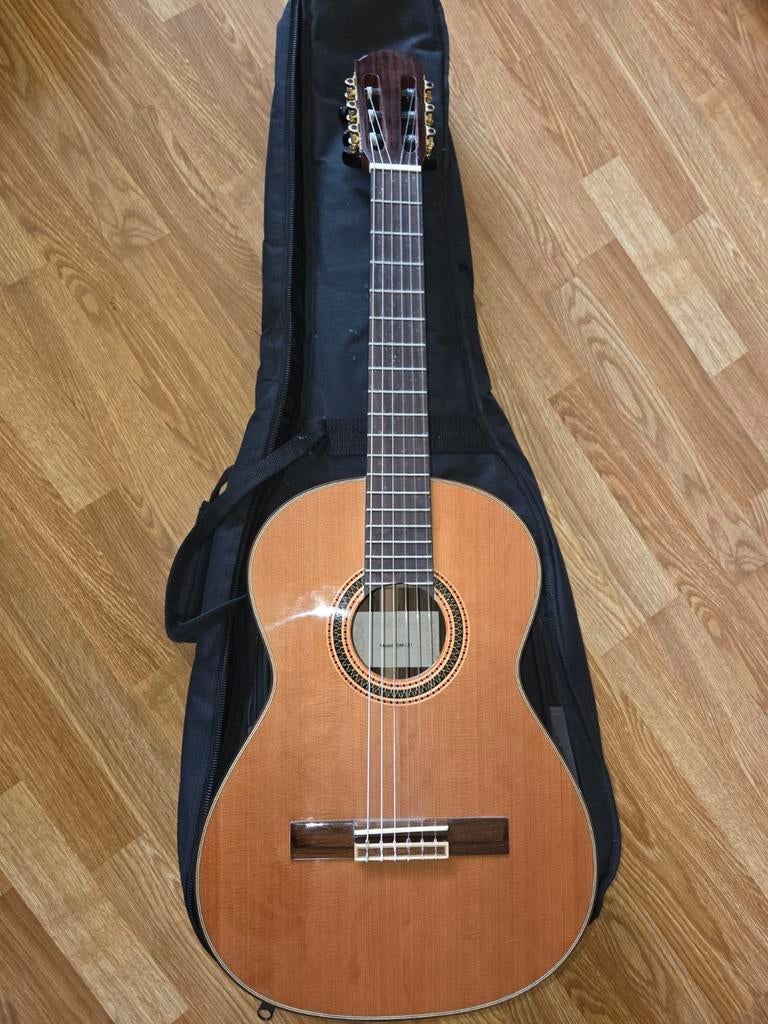 Nylon / spaanse gitaar, 3/4 als nieuw, met hoes, Ophalen, Zo goed als nieuw, Klassieke of Spaanse gitaar