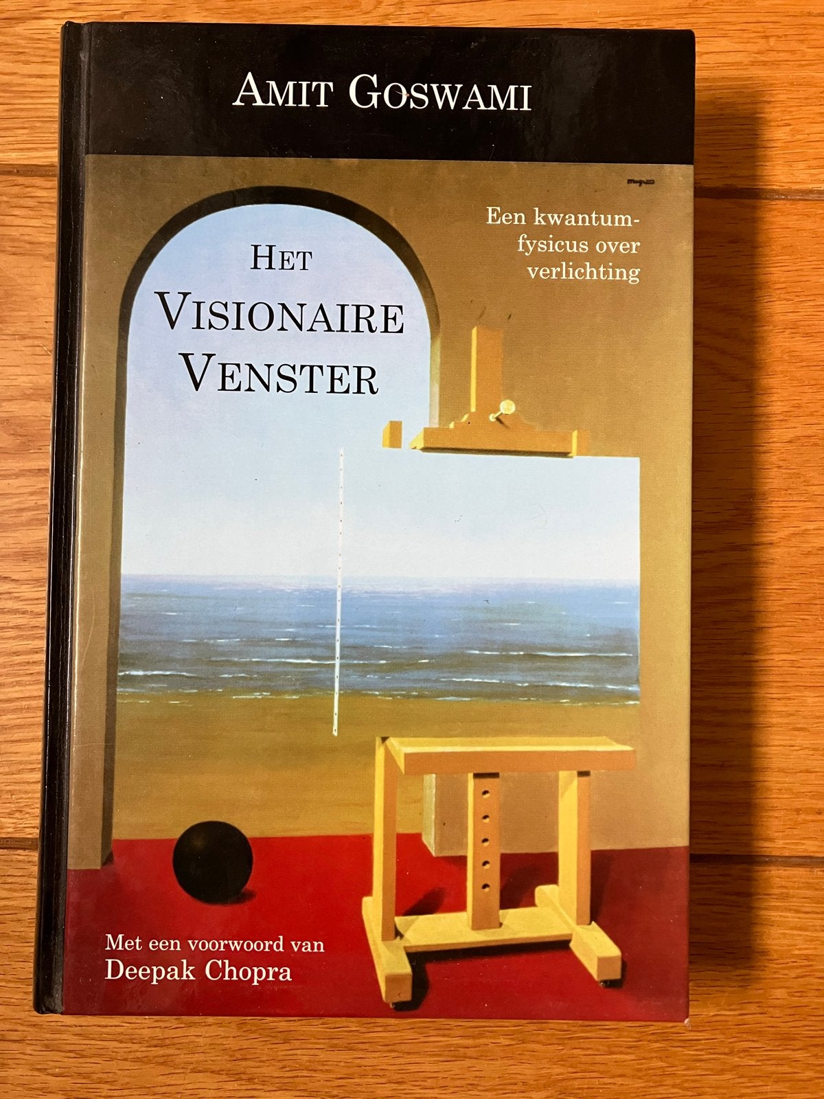 Het Visionaire Venster - Amit Goswami (Kwantumfysica), Ophalen of Verzenden, Gelezen, Spiritualiteit algemeen, Achtergrond en Informatie