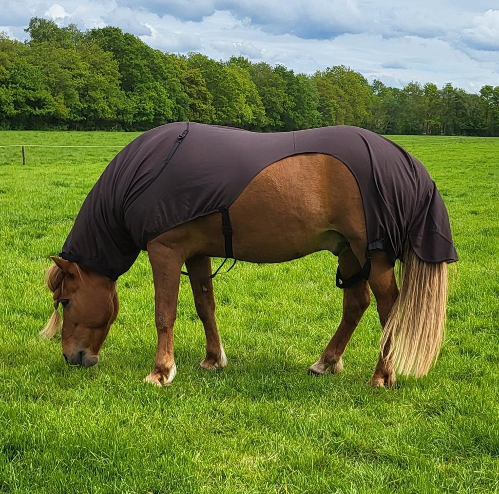 Nieuwe Boett Light eczeemdekens, Ophalen of Verzenden, Nieuw