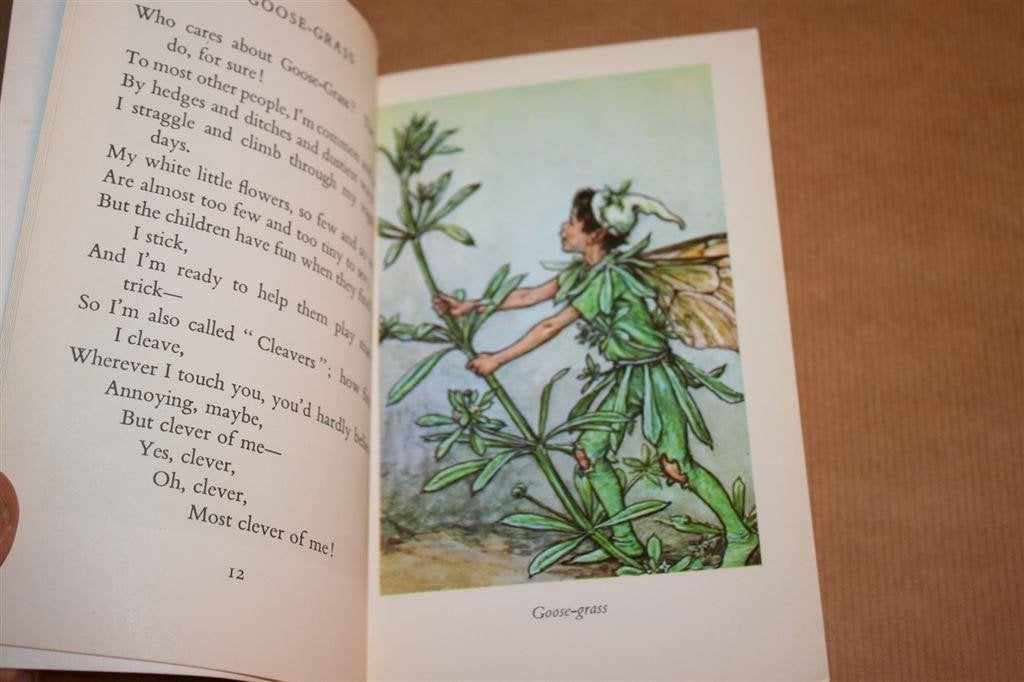 Flower Fairies of the Wayside — Bloemenfeeen van Barker, Ophalen of Verzenden, Gelezen