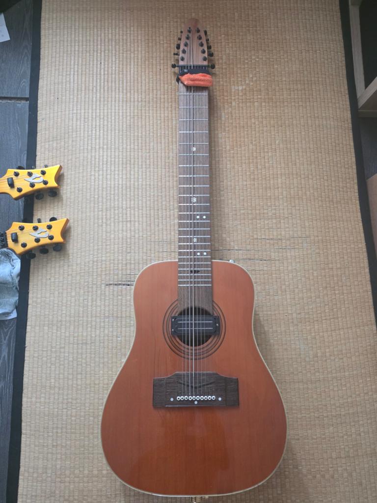 Unieke Akoestische Handgemaakte Chapman Stick, Muziek en Instrumenten, Ophalen, Gebruikt, Overige typen