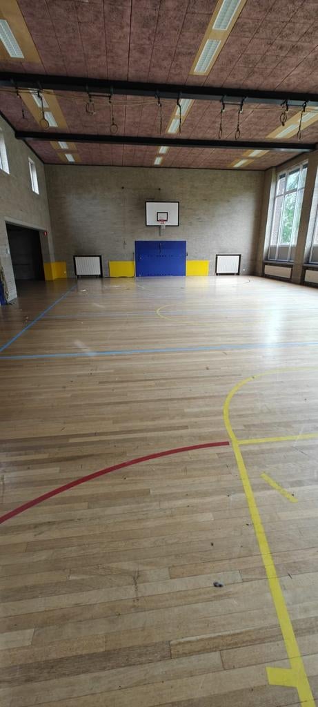 Oude gymzaal vloer, Doe-het-zelf en Verbouw, Gebruikt, Vloerdelen of -planken, Hout, Ophalen