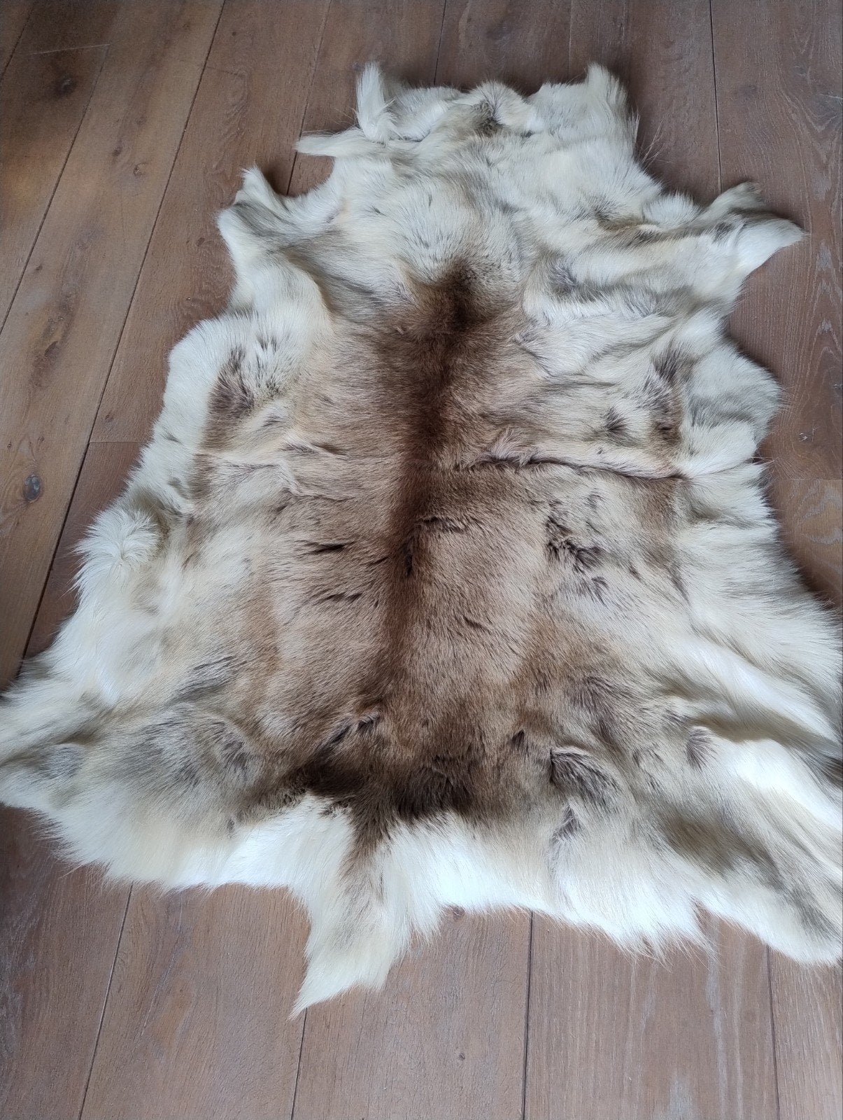 eland vacht, Ophalen of Verzenden