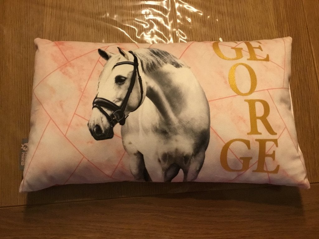 Kussen paard George, PaardenPraat TV, Ophalen of Verzenden, Zo goed als nieuw, Kleed of Kussen