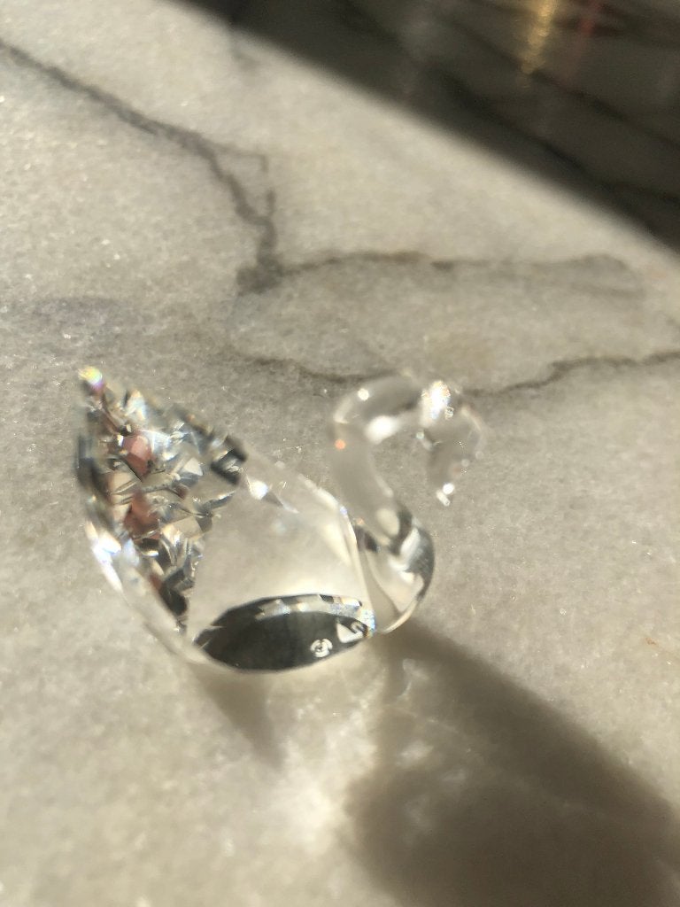 Swarovski  SCS 100 kleine zwaan, Ophalen of Verzenden, Nieuw, Figuurtje
