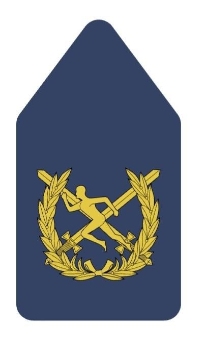 Gezocht! Kraagspiegels LO & Sport, Verzamelen, Ophalen of Verzenden, Landmacht, Nederland, Embleem of Badge