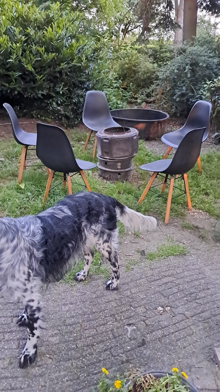 Eetkamerstoelen, Ophalen of Verzenden, Wit