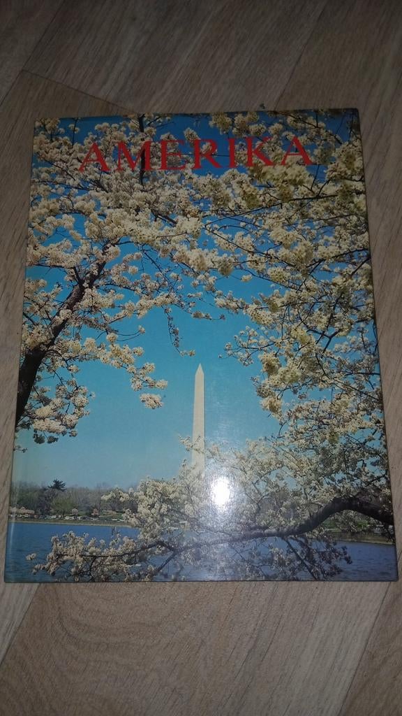 Amerika ,oude raadhuizen ,dumbo van walt disney ,New york, Boeken, Ophalen of Verzenden, Gelezen, Noord-Amerika
