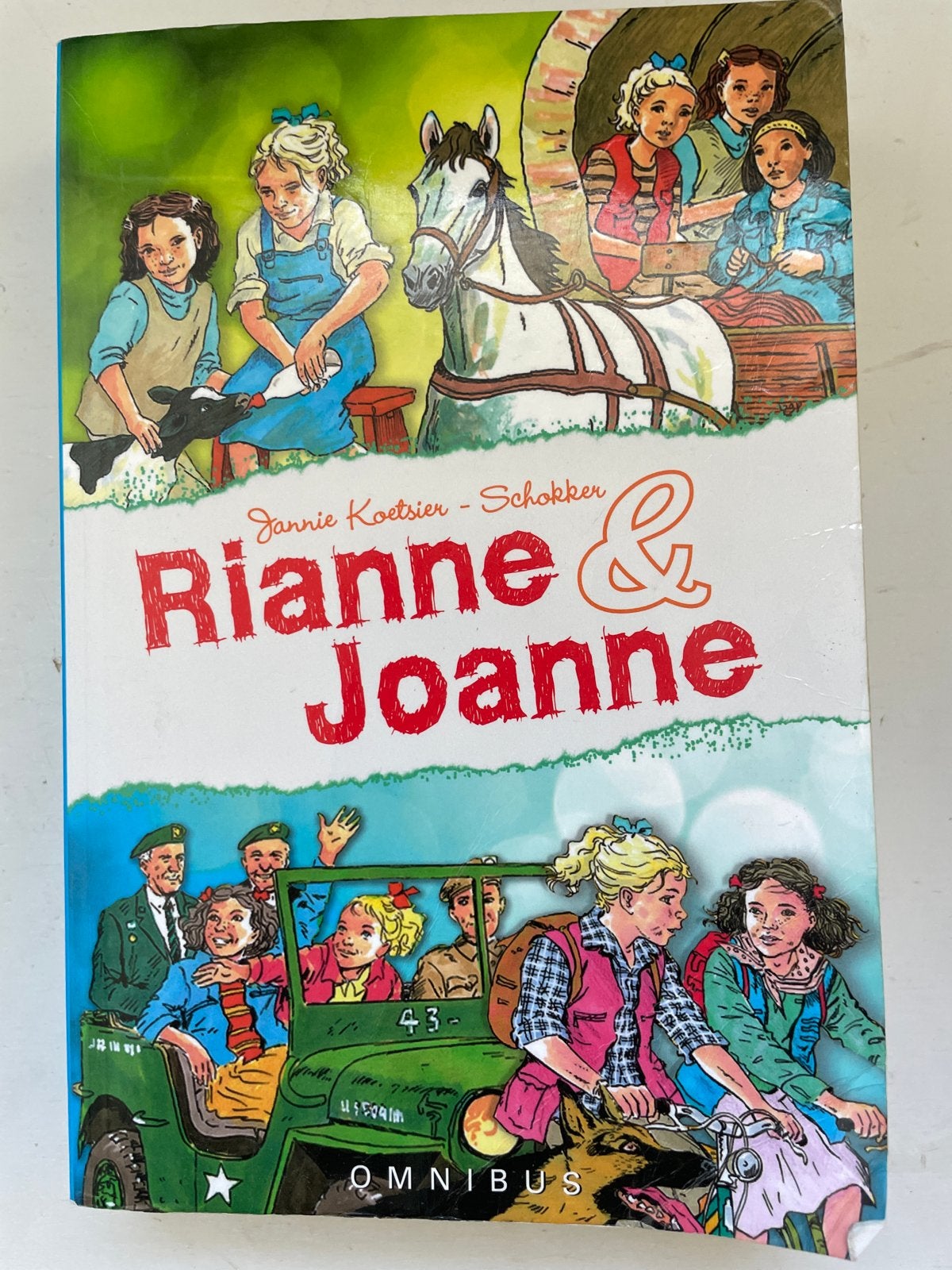 Rianne & Joanne Omnibus - Jannie Koetsier-Schokker, Ophalen of Verzenden, Gelezen, Fictie