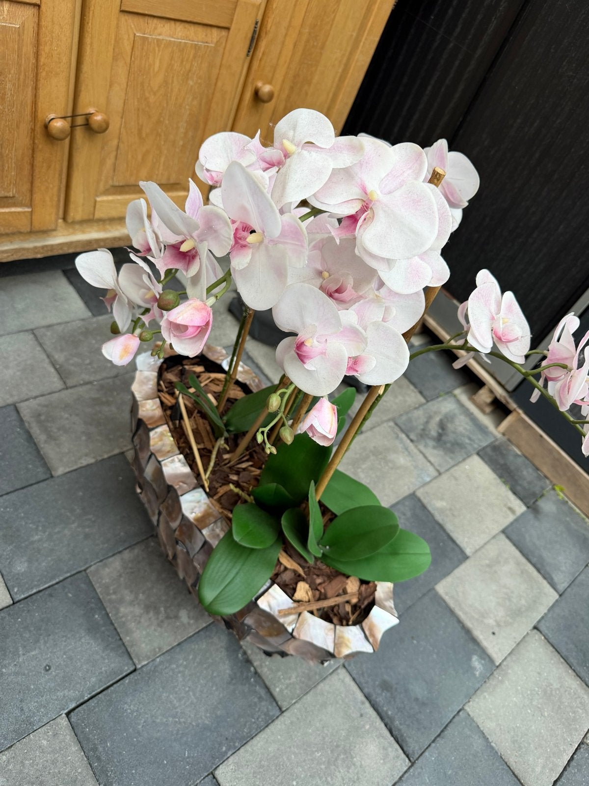 Kunst Orchidee in Luxe Schelpen Pot - Roze/Wit, Ophalen, Meerkleurig, Zo goed als nieuw, Natuurlijk materiaal