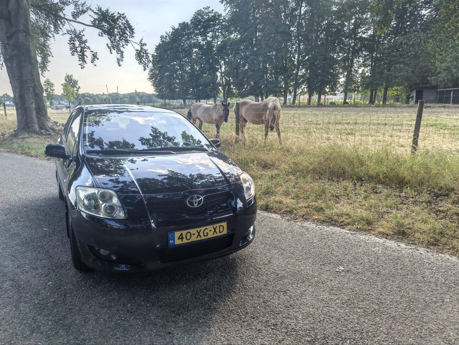 Toyota Auris 1.6 16V Vvt-i 5DR Terra MMT 2007 Zwart, Auto's, 450 kg, 4 cilinders, Zwart, 1240 kg