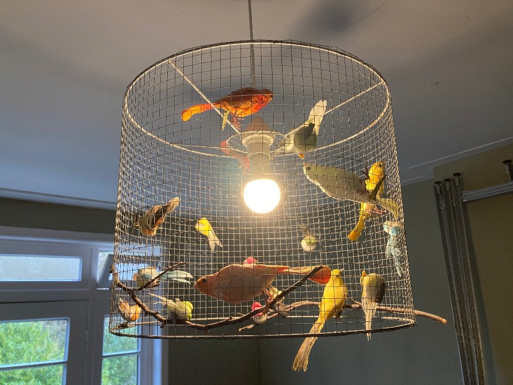 Lamp vogeltjes, Ophalen, Gebruikt