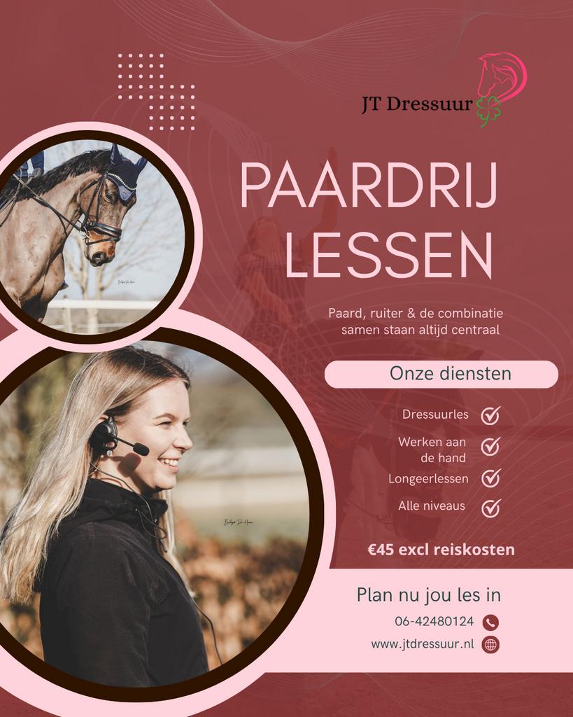 Instructie, dressuurles, paardrijles, Tiel en omgeving, Ophalen, Dressuur