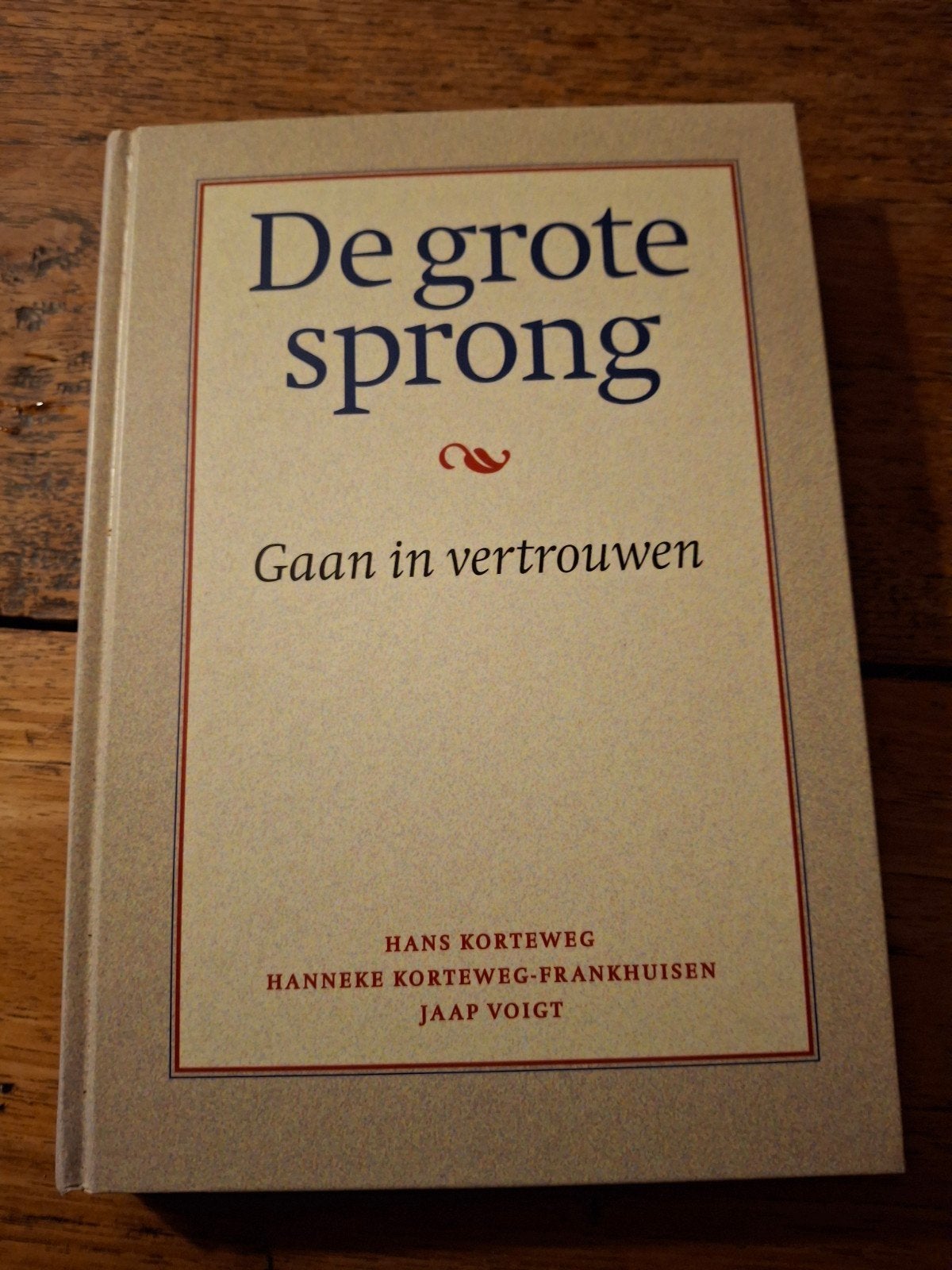 J. Voigt - De grote sprong, Gelezen, Spiritualiteit algemeen, Overige typen, J. Voigt; Hanneke Korteweg-Frankhuisen; Hans Korteweg