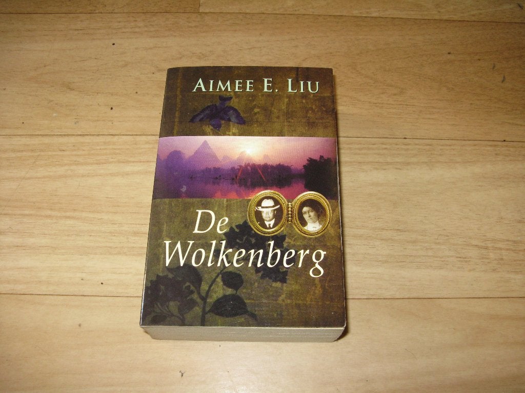Aimee E. Liu - De Wolkenberg, Ophalen of Verzenden, Gelezen