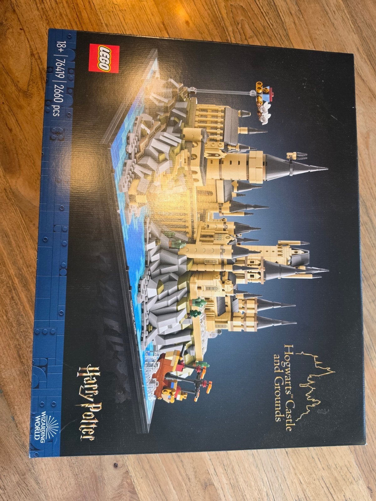 LEGO Harry Potter Zweinstein Kasteel en Terreinen 76419, Ophalen of Verzenden, Nieuw