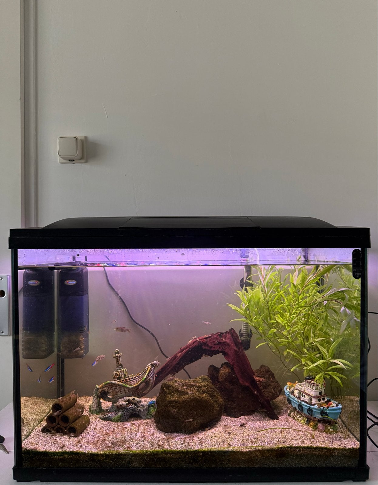 Mooie complete aquarium, Gebruikt, Gevuld zoetwateraquarium, Superfish, Inclusief vissen