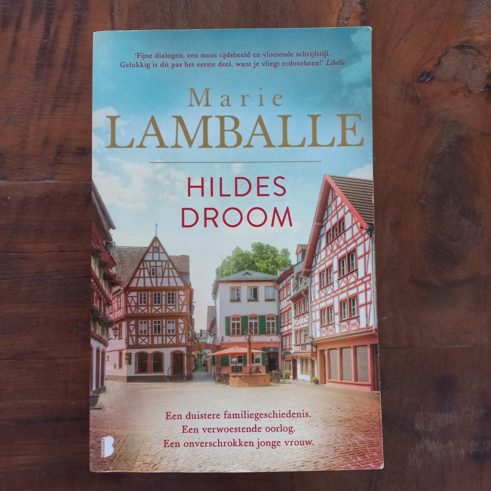 Marie Lamballe,  Hildes Droom., Ophalen of Verzenden, Gelezen, Lamballe M