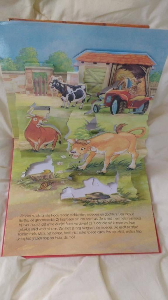 Mooi boek over de boerderij, hierin komen dieren tot leven, 5 of 6 jaar, Fictie algemeen, Uitklapboek, Jongen of Meisje