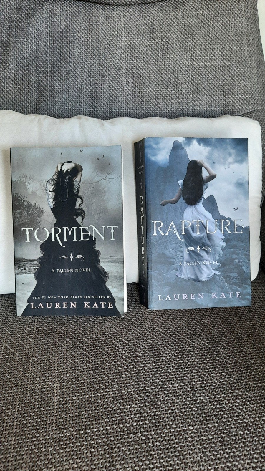 Fallen serie boeken: Torment en Rapture (Lauren Kate), Ophalen of Verzenden, Zo goed als nieuw, Lauren Kate
