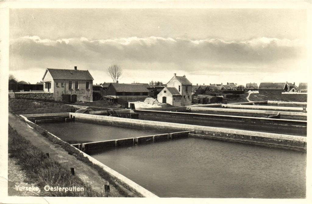 Yerseke, Oesterputten - B-keus - 1958 gelopen, Ophalen of Verzenden, 1940 tot 1960, Gelopen, Noord-Brabant