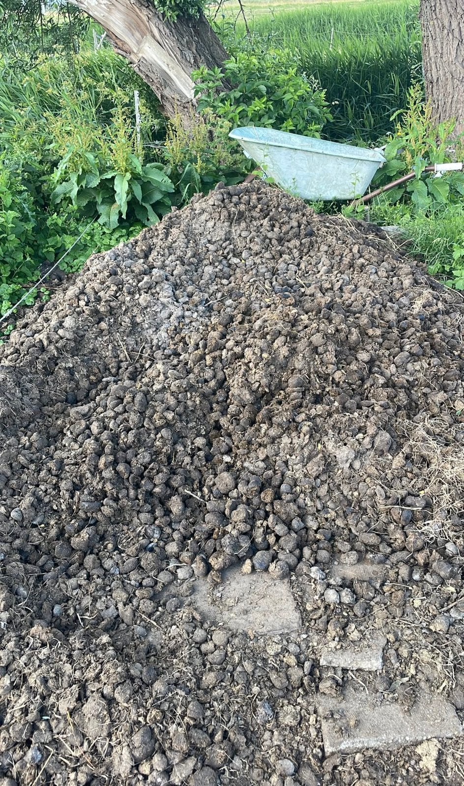 Gratis paardenmest, Tuin en Terras, Ophalen, Tuinaarde
