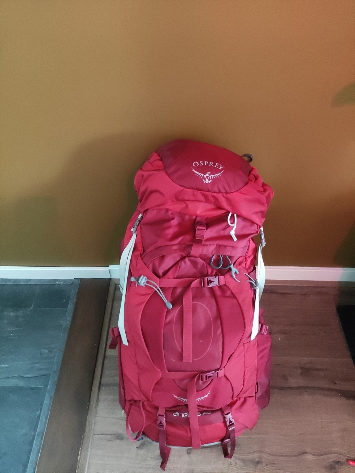 Osprey dames backpack + regenhoes, 40 cm of meer, Zo goed als nieuw, 60 cm of meer, Ophalen