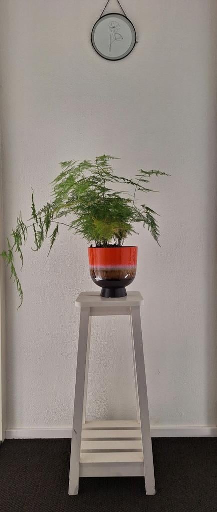 Plantentafeltje / plantenzuil / hout /wit geschilderd, Ophalen, Gebruikt