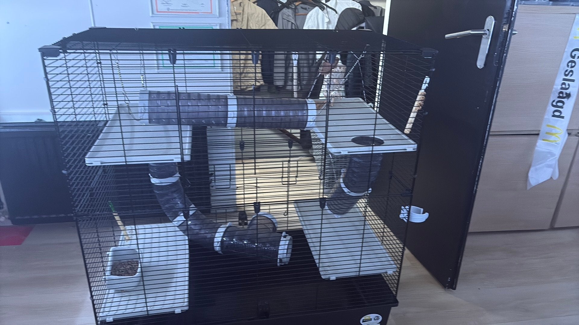 Ratten kooi, Dieren en Toebehoren, Knaagdieren en Konijnen | Hokken en Kooien, Ophalen, Nieuw, Kooi, 60 tot 90 cm