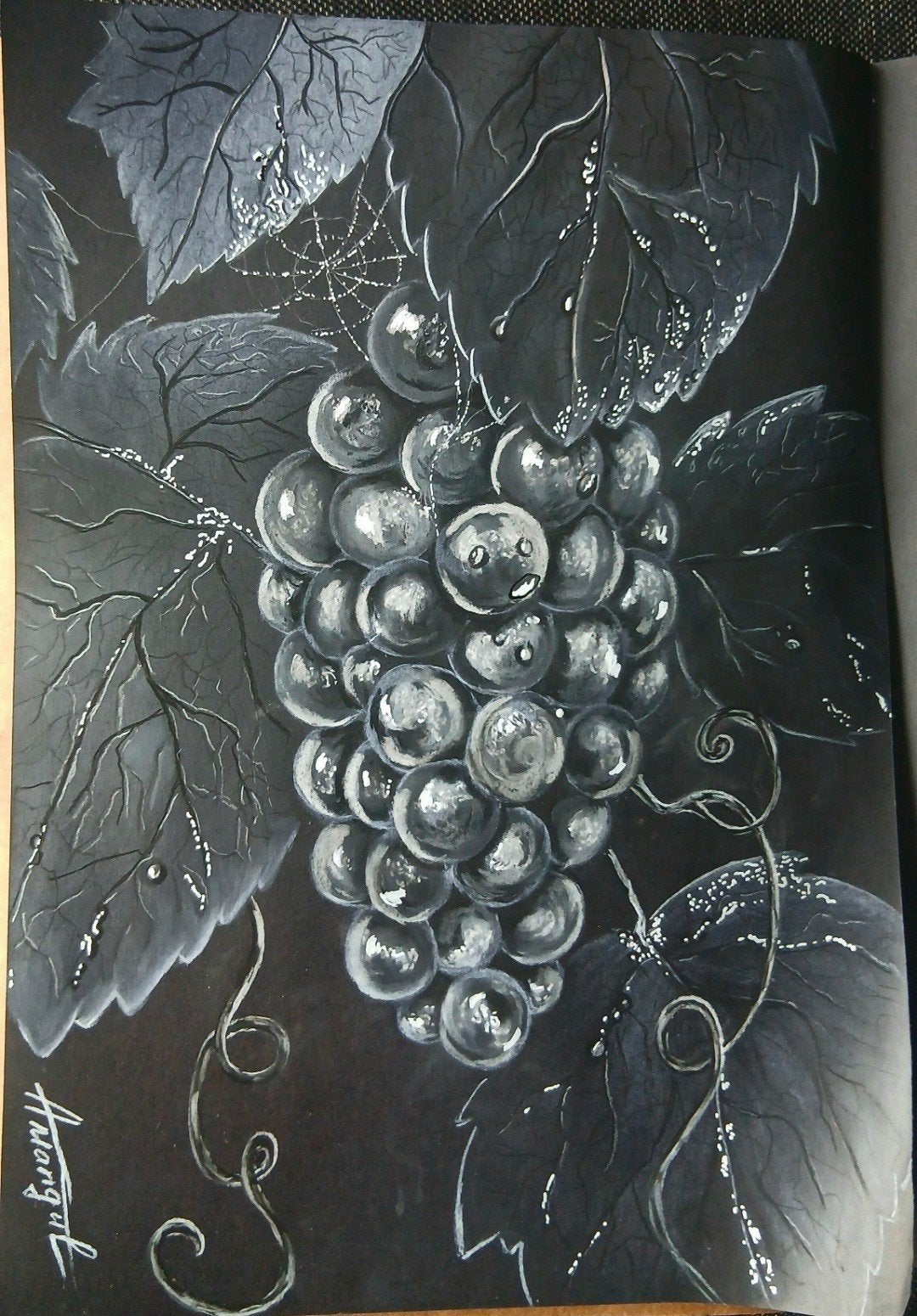 Druiven, tekening met houtskool, kunst, witte houtskool, sch, Ophalen of Verzenden, Klassiek, Papier