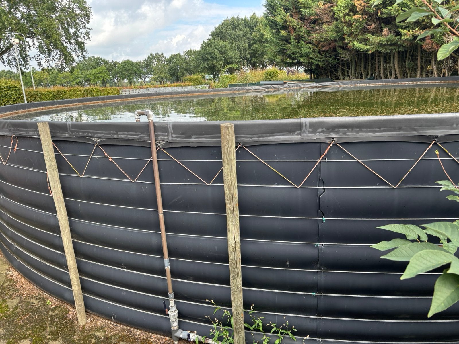 Waterbasis wateropslag, Ophalen of Verzenden, Overige materialen, Gebruikt, Plastic