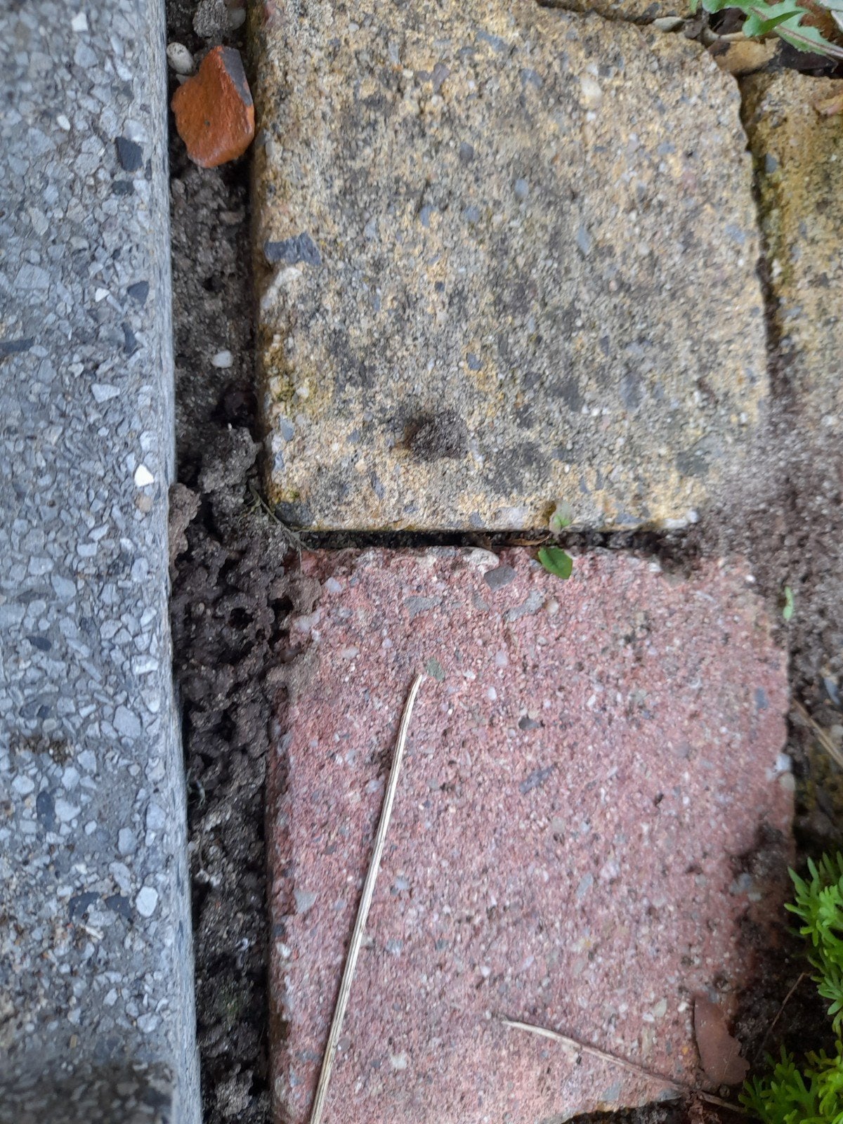 Gratis steentjes 10x10 cm, Tuin en Terras, Ophalen, Gebruikt, Klinkers, Minder dan 5 m²