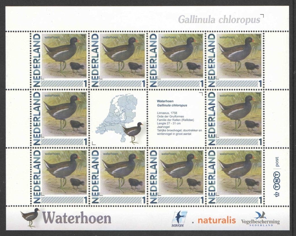 Postzegels Vogels in Nederland: Waterhoen, Ophalen of Verzenden, Na 1940, Postfris