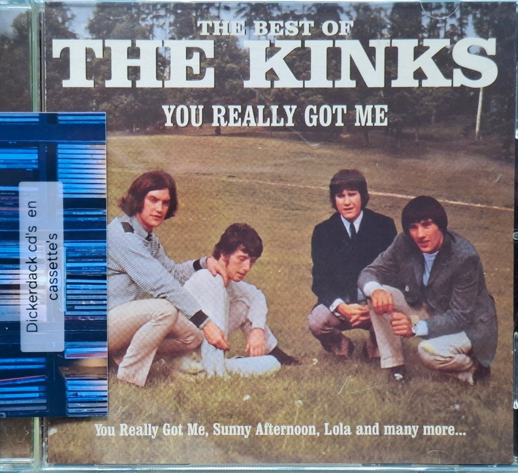 The Best Of The Kinks; You really got me (1999), Rock, Ophalen of Verzenden, Zo goed als nieuw, Album