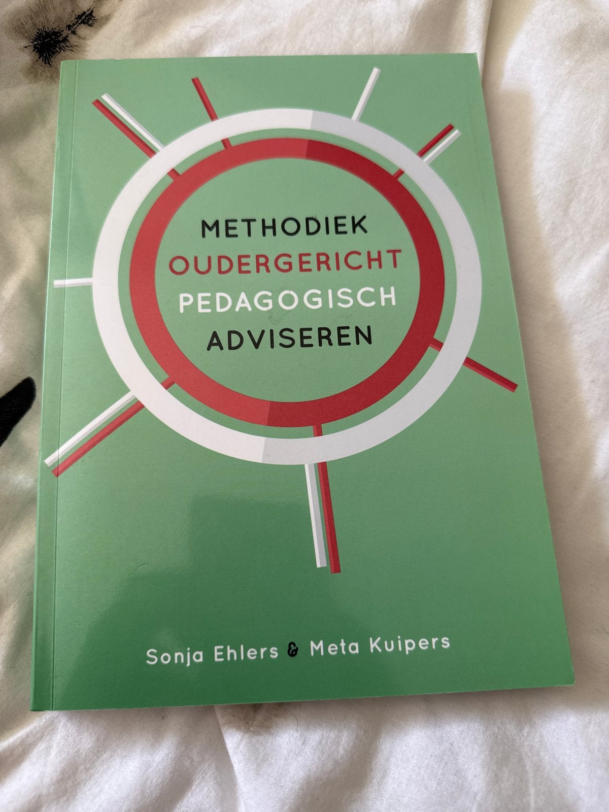 Methodiek Oudergericht Pedagogisch Adviseren - Ehlers & Kuip, Boeken, Ophalen of Verzenden, Gamma, Zo goed als nieuw, HBO