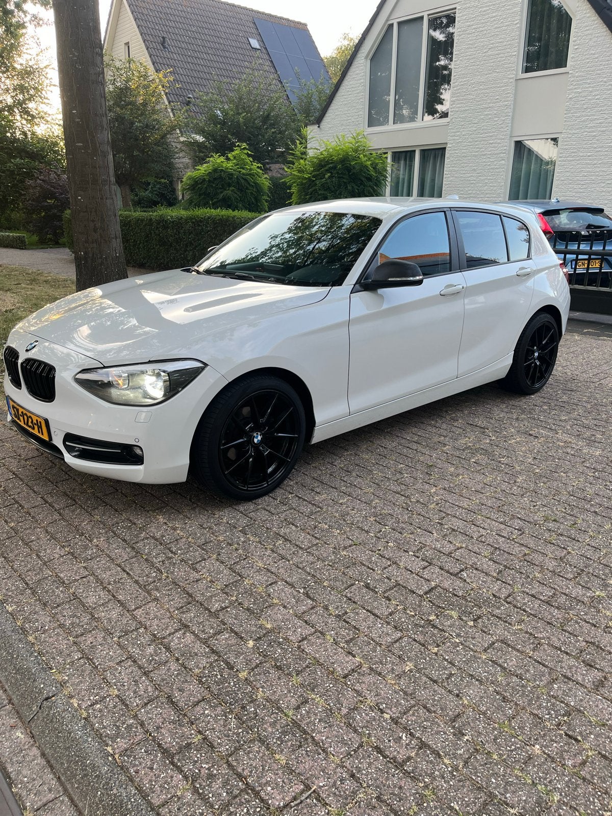 BMW 1 Serie 116I 100KW 5DR 2013 Wit F20, 1-Serie, Zwart, 4 cilinders, Wit