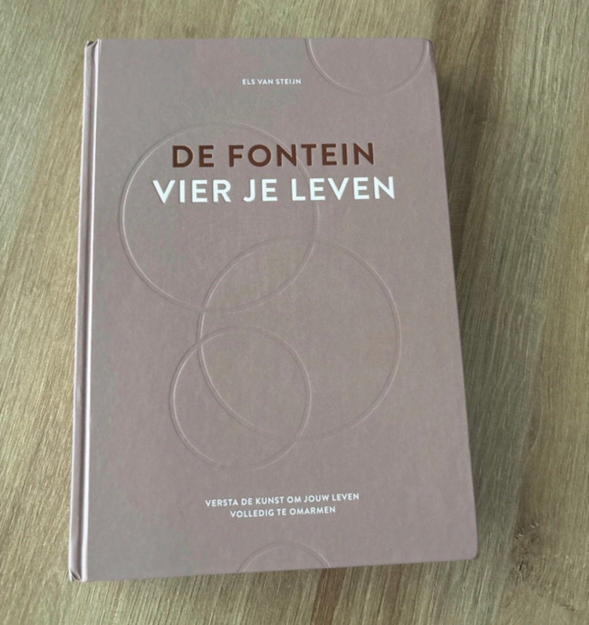 De Fontein Vier Je Leven - Els van Steijn, Boeken, Ophalen of Verzenden, Zo goed als nieuw, Nederland