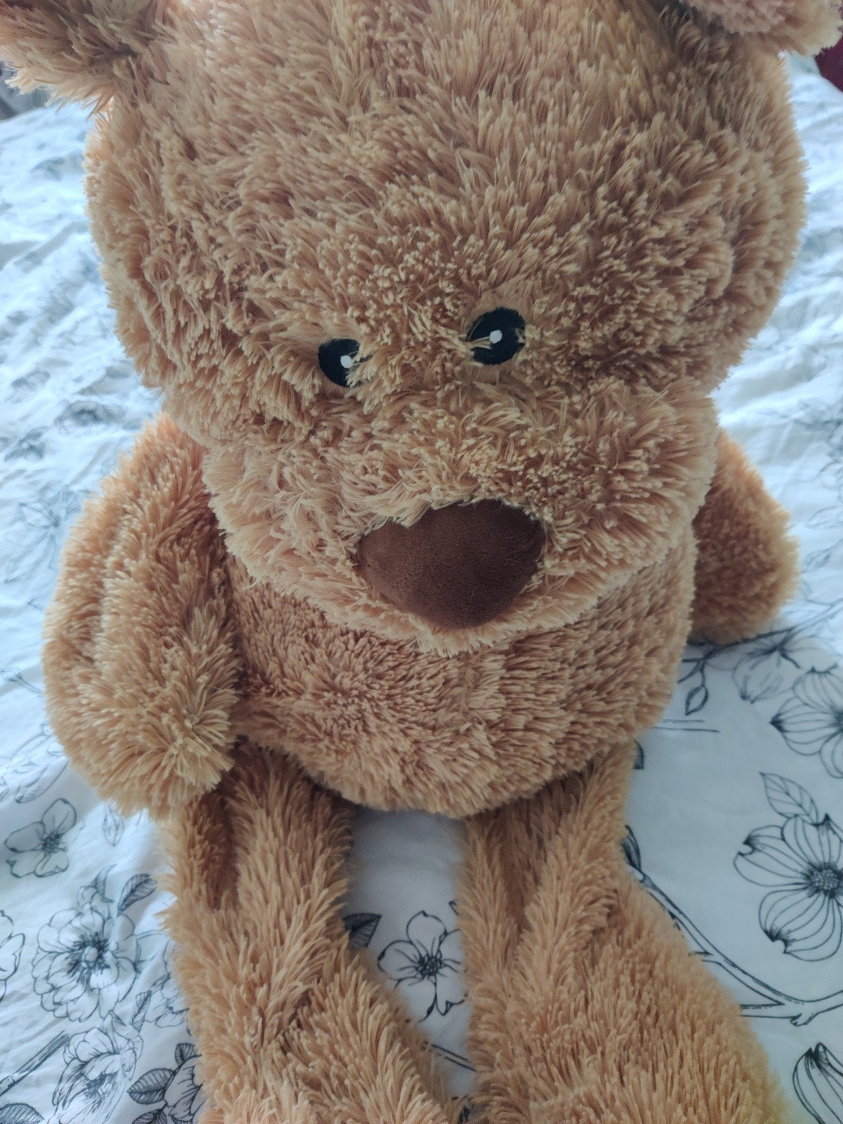 Teddy, Ophalen