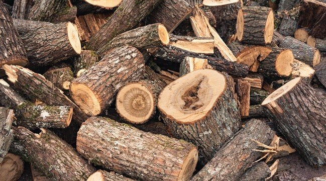 Haardhout / brandhout blokken, ruim 4m3 kastanje, 3 tot 6 m³, Ophalen, Overige houtsoorten, Blokken