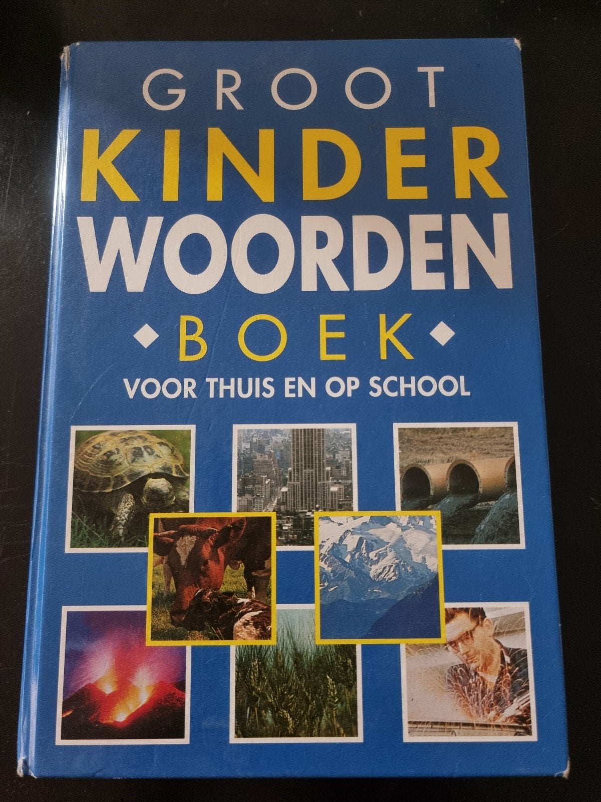 Groot Kinder Woordenboek - Voor Thuis en op School, Boeken, Ophalen, Gelezen, Non-fictie