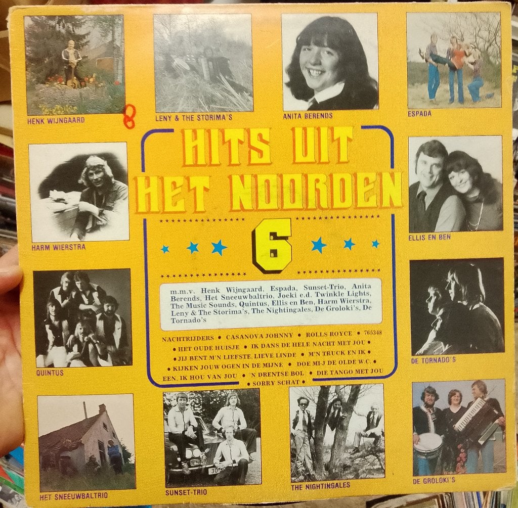 Verzamel - Hits Uit Het Noorden 6, Cd's en Dvd's, Vinyl | Nederlandstalig, LP, Gebruikt, Verzenden, Levenslied of Smartlap