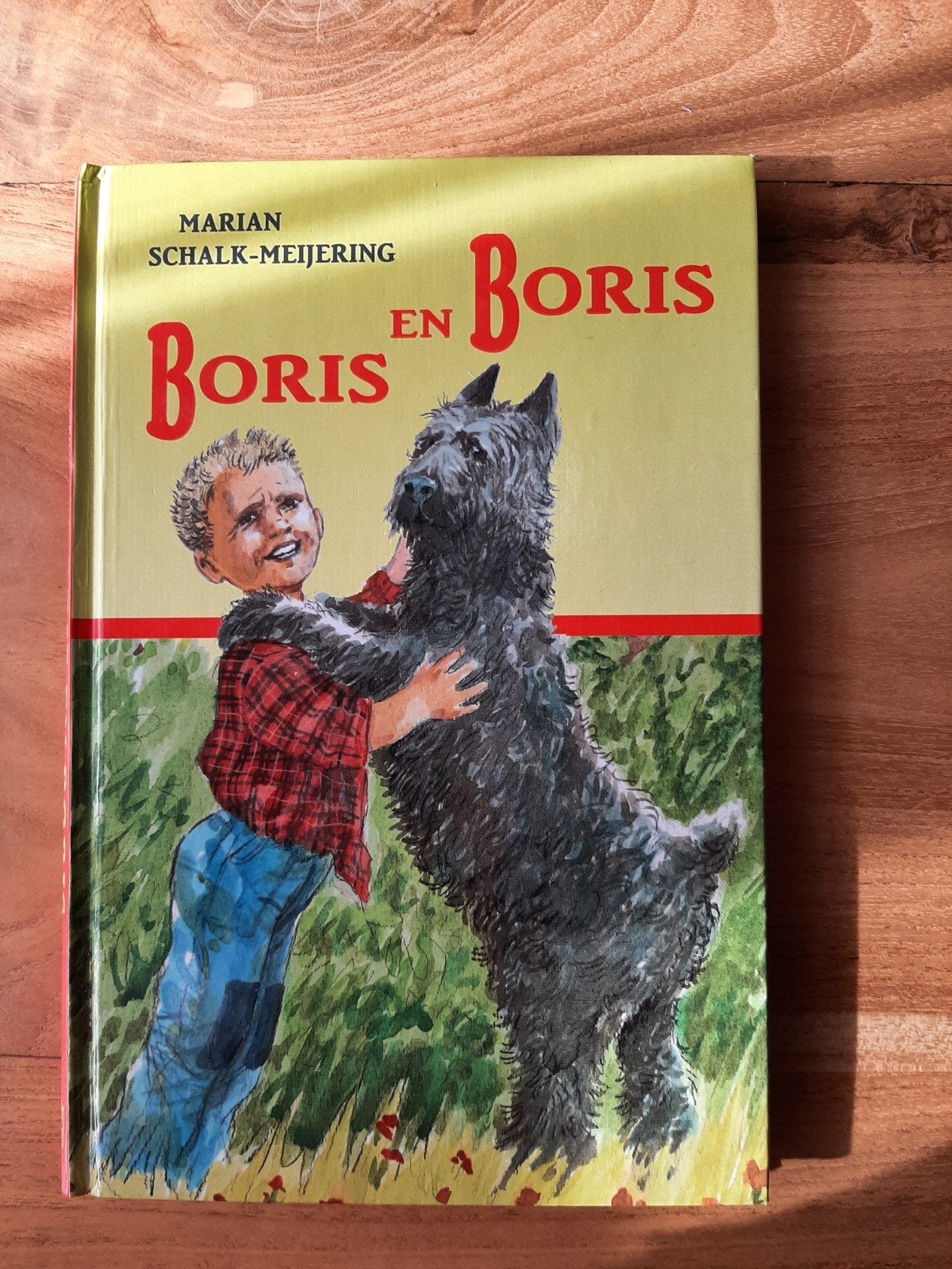 M. Schalk-Meijering - Boris en Boris, Ophalen of Verzenden, Gelezen, M. Schalk-Meijering, Fictie algemeen