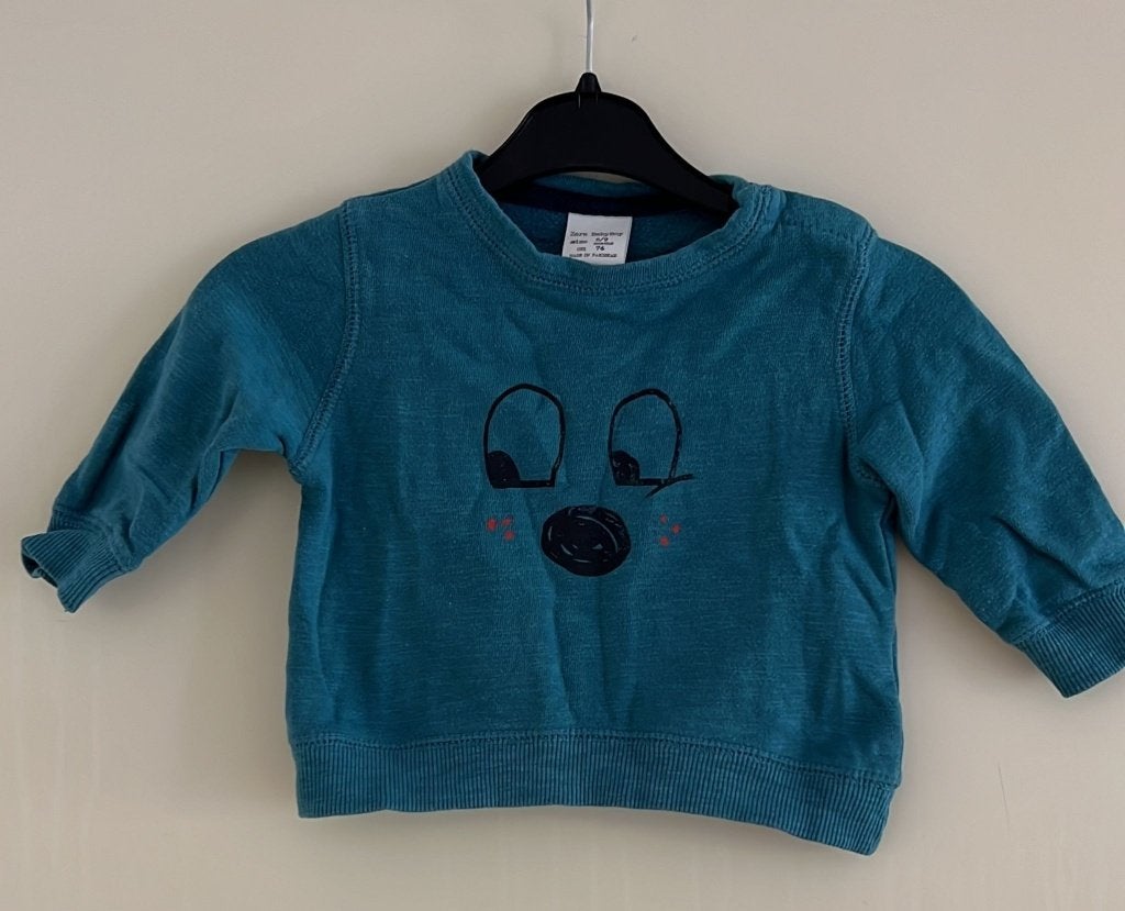 Zara trui maat 74, Kinderen en Baby's, Babykleding | Maat 74, Zo goed als nieuw, Zara, Truitje of Vestje, Verzenden