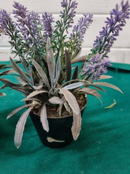 Kunst lavendel 1 potjes, Ophalen of Verzenden, 'T Olde Gre-j, Info@toldegrej.nl, Endepoelstraat 20f Didam